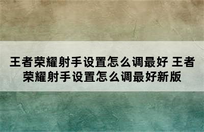 王者荣耀射手设置怎么调最好 王者荣耀射手设置怎么调最好新版